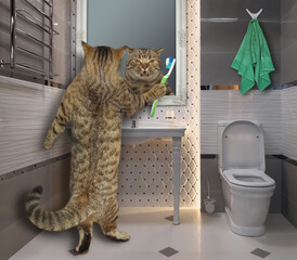 The beige cat with a toothbrush is brushing his teeth in the bathroom.
