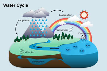 Diagram of Water cycle, Hydrologic cycle, Biogeochemical cycle for education chart