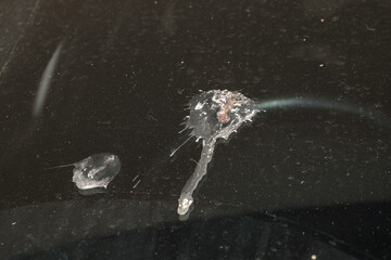 bird shit poop splattered on car windscreen , dropping bird shit stain on glass dried and dirty