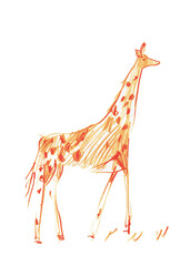 Obraz na płótnie Canvas Orange giraffe on a white background.