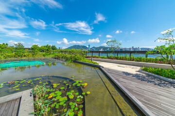 Dutch pool and wooden walkway in city center park under blue sky and white clouds.