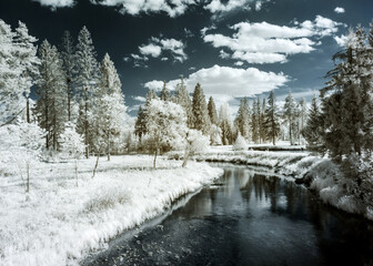infrared photography. summer landscape with trees and water. beautiful trees in the sky many clouds. our beautiful world in the spectrum of infrared camera.