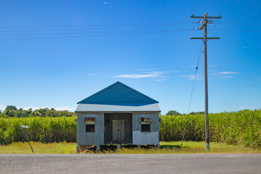 hut in the canefield