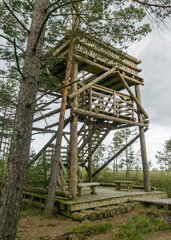 a wooden construction tower in the middle of the bog. View of the beautiful nature in the swamp - pond, conifers, moss, clouds