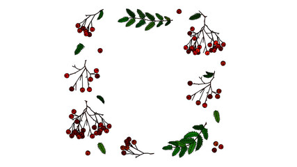 Beautiful autumnal rowanberries with green leaves put together in a rectangle
