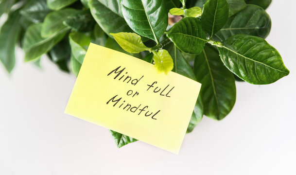 Sticking note with text "Mind full or Mindful" on green home plant.