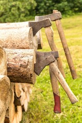 Old rusty axes stuck in a pine block. Lumberjack tools. Work in forest. Preparation of wood for...