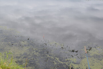 Fish place in Berdyuzhsky district Tyumen region