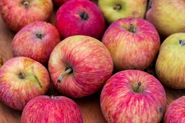 Many red ripe tasty fresh juicy red organic apples with imerfections on wooden table surface at...