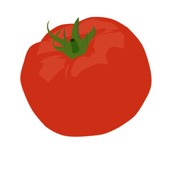 tomato isolated on white background