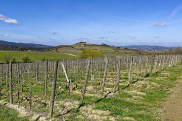 Paysage de Toscane en Italie