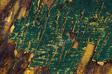 fon, invoice, texture, bill of parcels, old paint