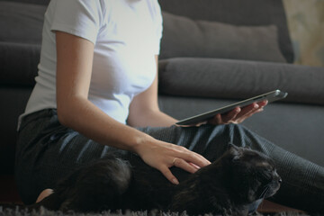 Unrecognizable woman sitting on the floor at home, using digital tablet computer and stroke her black cat
