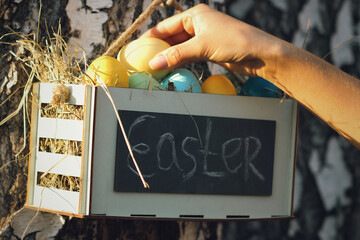 Unrecognizable woman put yellow colored egg into wooden box full of multi colored painted easter eggs hanging on birch tree. Easter holiday concept