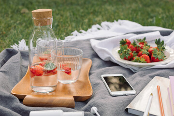 Refreshing cocktails on the blanket. Summer picnic on the grass. Lifestyle concept.