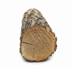 Wood tree log isolated on white background
