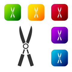 Black Gardening handmade scissors for trimming icon isolated on white background. Pruning shears with wooden handles. Set icons in color square buttons. Vector Illustration.