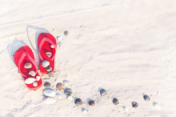 Close up of sand texture with flip flop sandals and shellfishes on the a beach.