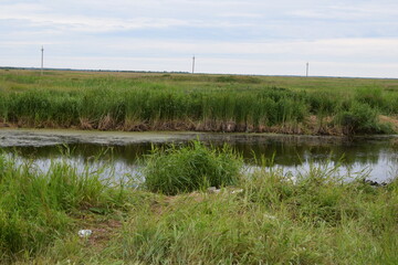 Fish place in Berdyuzhsky district Tyumen region
