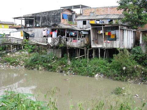Shanty town in Manaus Amazonia, Brazil - A favela is a specifically portuguese word for a shanty town. The Wooden houses built on high stilts called palafitas  (Photo taken 01/30/2009)