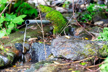 【環境イメージ】山から流れ出す水