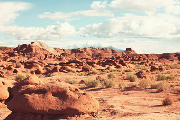 Fototapeta na wymiar Utah landscapes