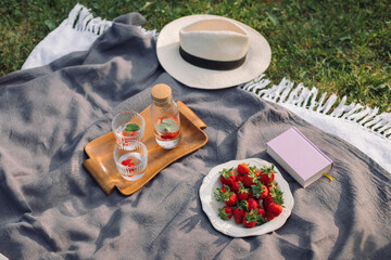 Fresh strawberries,  refreshing drinks, book, hat on the blanket.  Summer picnic on the grass. Lifestyle concept.