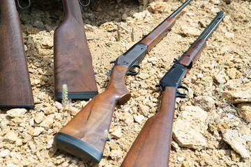 Rifles isolated on white background depicting a Russian Mosin Nagant, 30-30 Winchester rifle, 22....