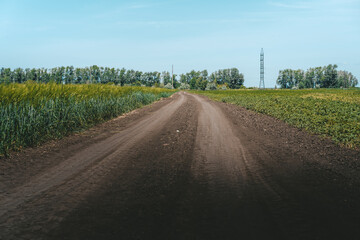 Agricultural Landscape With A Road Among The Fields.