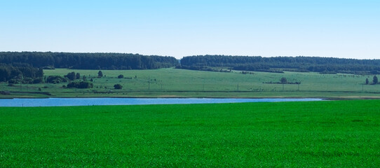 rural landscape, wheat field and river on a Sunny, windless day