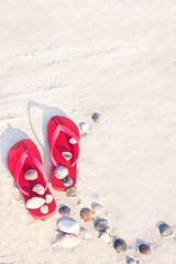 Sand texture (background) with flip flop sandals and shellfishes (scallop) on the beach.
