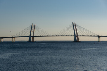 Fototapeta na wymiar Bridge in Saint Petersburg
