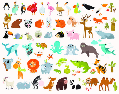 Big vector set of cartoon animals. Forest animals, tropical animals, sea animals.
