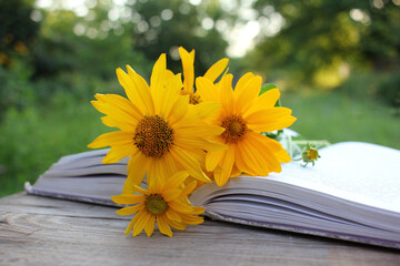 Obraz premium Open book and yellow flowers on a wooden table outdoors. Reading in summer garden
