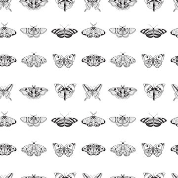Exotic Moth and Tropical Butterfly Seamless Pattern