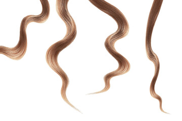 Brown hair on white background, isolated. Thin curly threads