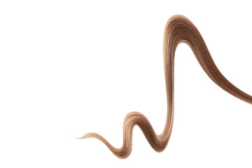 Obraz premium Brown hair on white background, isolated. Thin thread