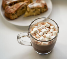 Fototapeta na wymiar cup of hot chocolate with marshmallow and home made cake