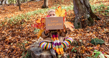 Fall season, hello autumn. Girl sitting on the stub in the forest and holding card board, place for text