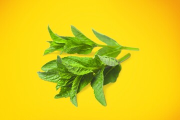 Lemon.