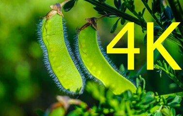 4K Thumbnail - High Definition