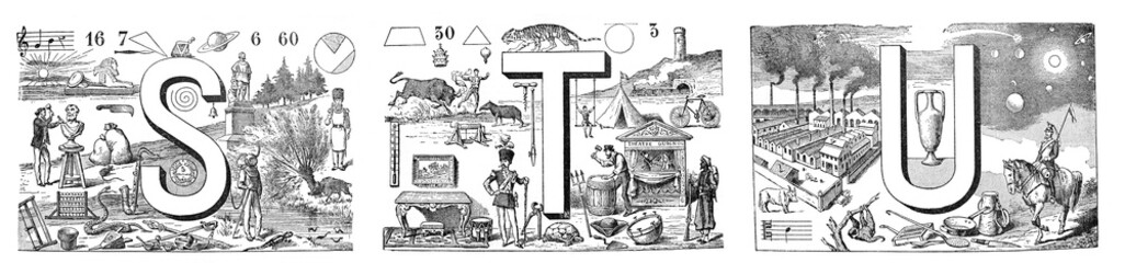 English alphabet STU with mixed illustrations animals and decoration hand drawn ABC / Antique illustration from Petit Larousse 1914