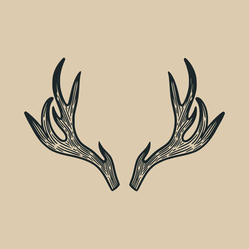 deer antlers classic vintage illustration design element