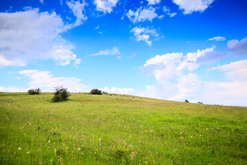 Beautiful nature landscape panoramic view summer day