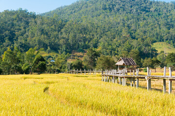 Obraz premium Beautiful scenic view from Pai Bamboo Bridge (Boon Ko Ku So) in Pai, Mae Hong Son Province, Thailand.