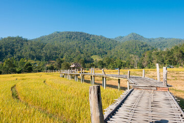Fototapeta na wymiar Pai Bamboo Bridge (Boon Ko Ku So) in Pai, Mae Hong Son Province, Thailand.