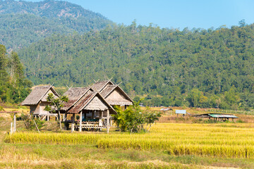 Plakat Beautiful scenic view from Pai Bamboo Bridge (Boon Ko Ku So) in Pai, Mae Hong Son Province, Thailand.