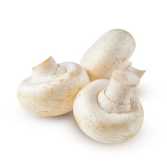Champignon mushrooms isolated on white background