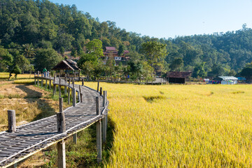 Pai Bamboo Bridge (Boon Ko Ku So) in Pai, Mae Hong Son Province, Thailand.