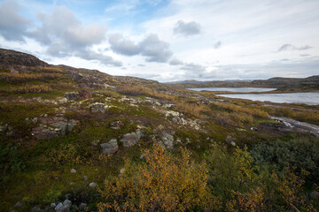 Fototapeta na wymiar Terabika landscape in autumn season, Murmansk, Russia